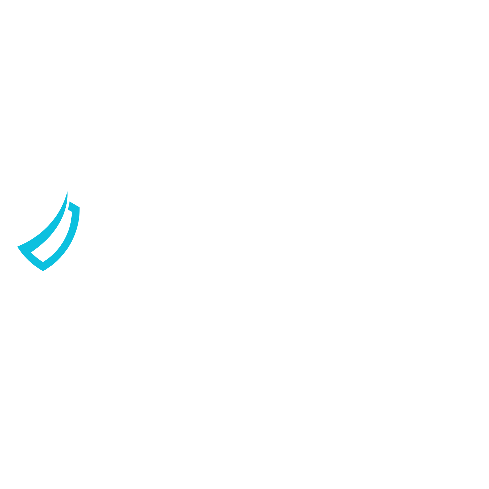 curve shield (1)