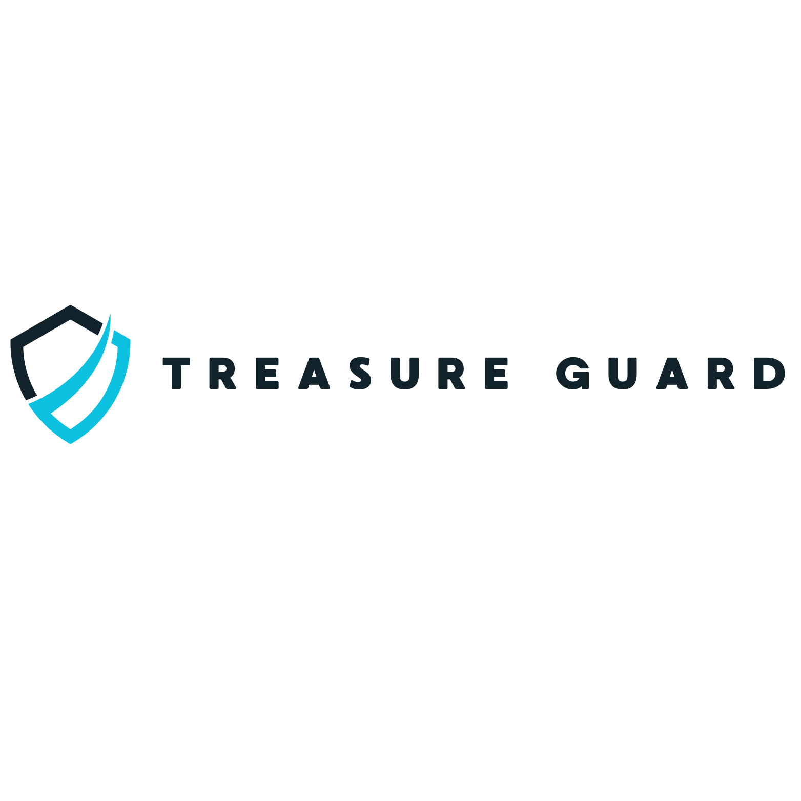curve shield